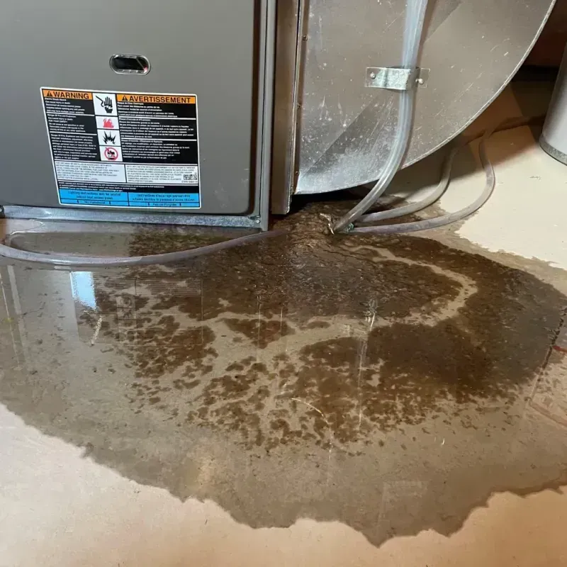 Appliance Leak Cleanup in American Falls, ID